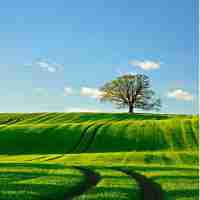 数‍据‍备‍份‍国﻿家‌标​准​